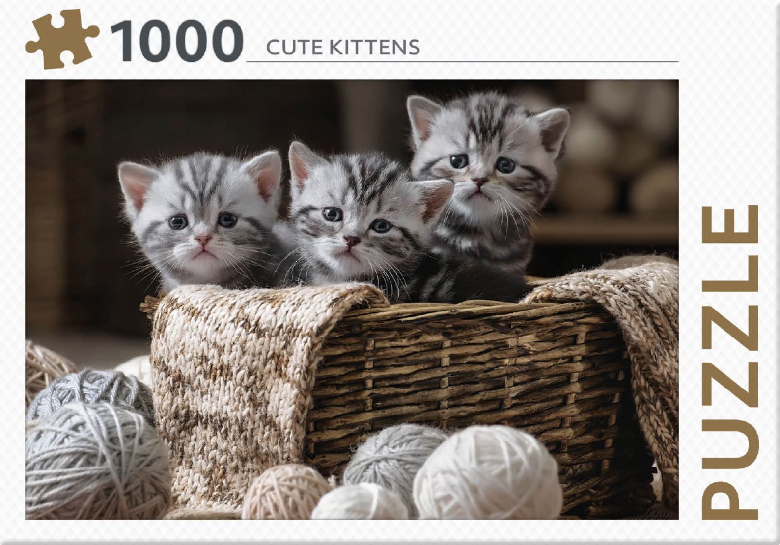 Rebo legpuzzel 1000 stukjes - Cute Kittens