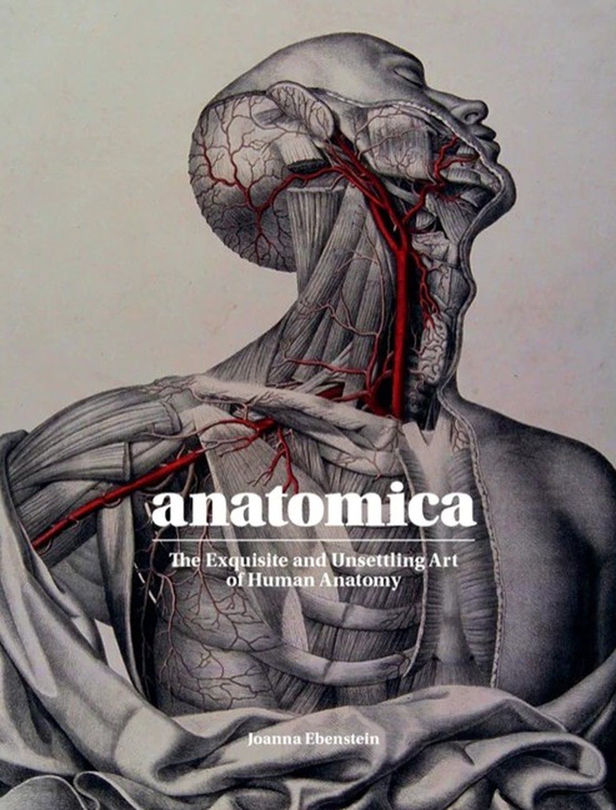 Anatomica