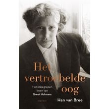 Het vertroebelde oog