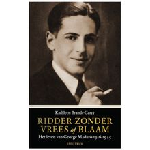 Ridder zonder vrees of blaam