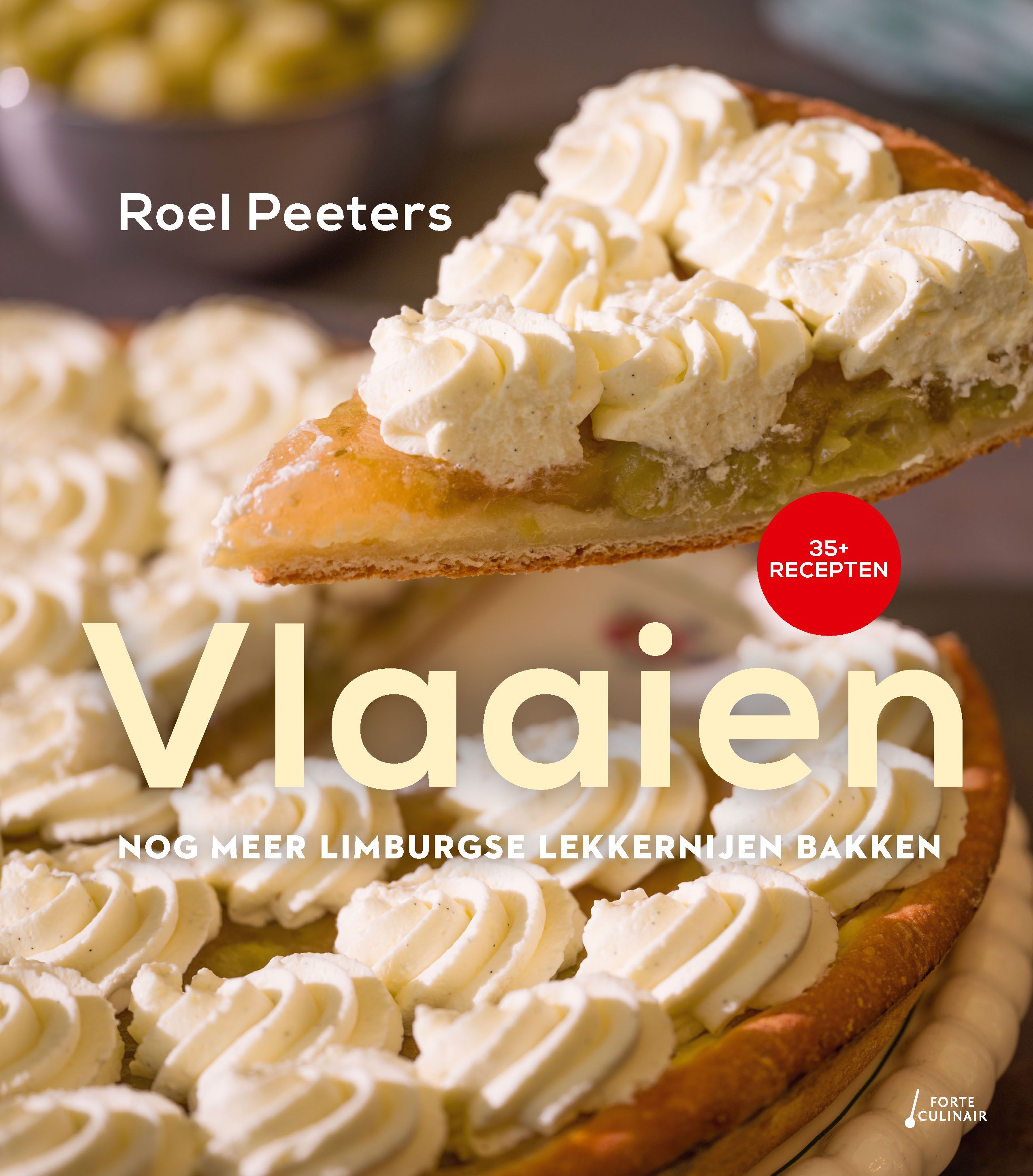 Vlaaien