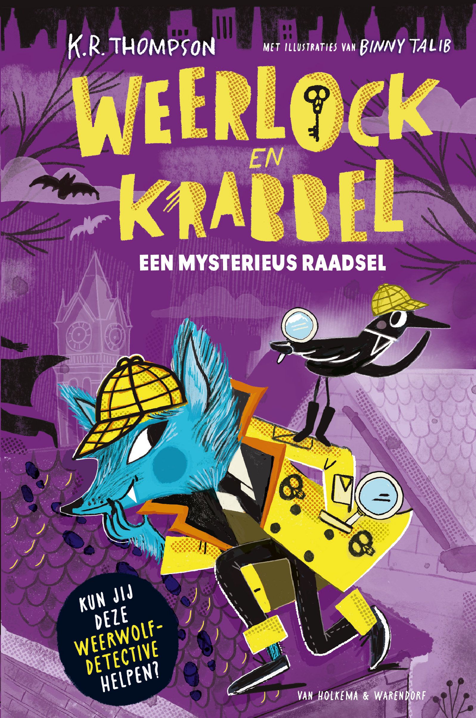 Een mysterieus raadsel