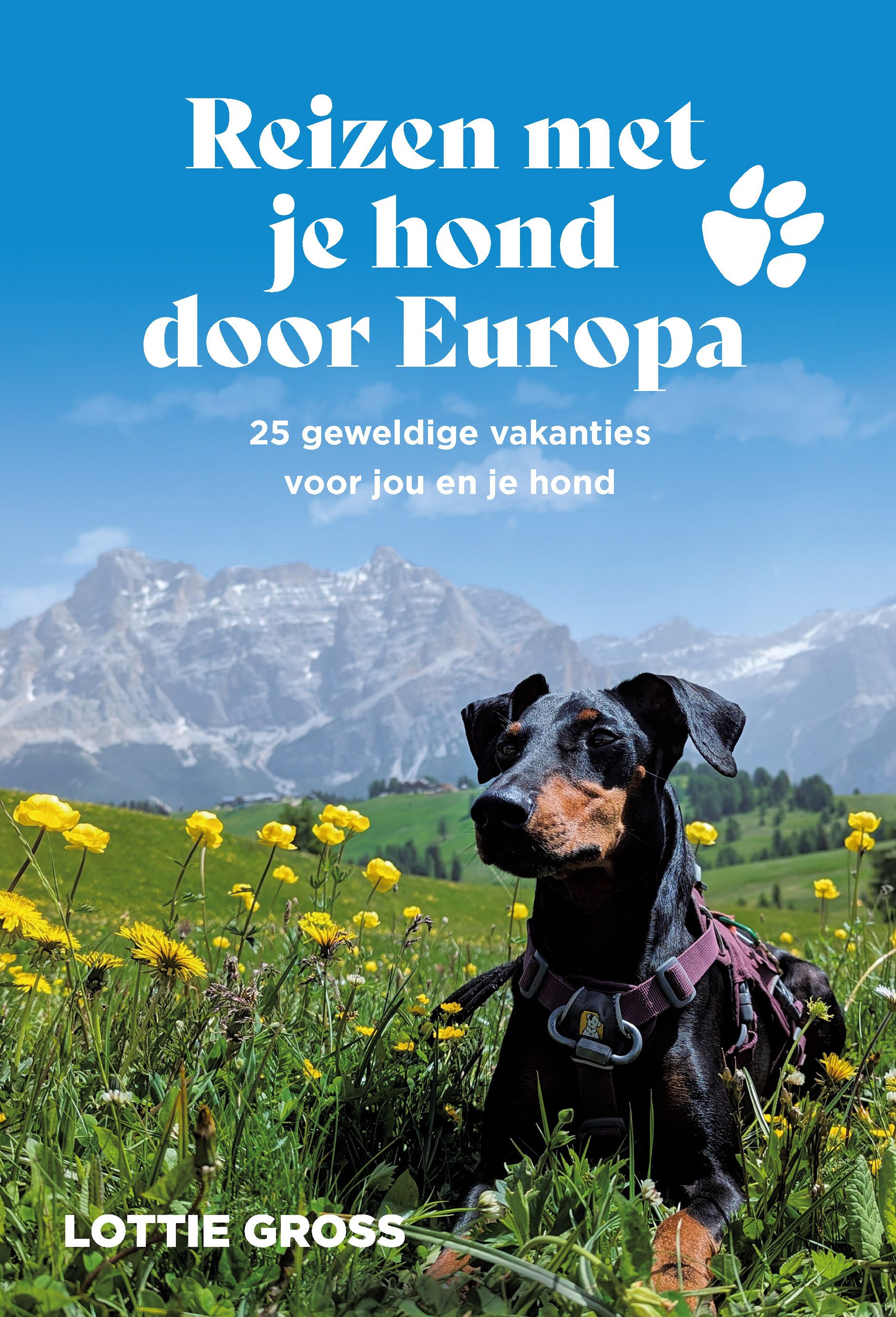 Reizen met je hond door Europa