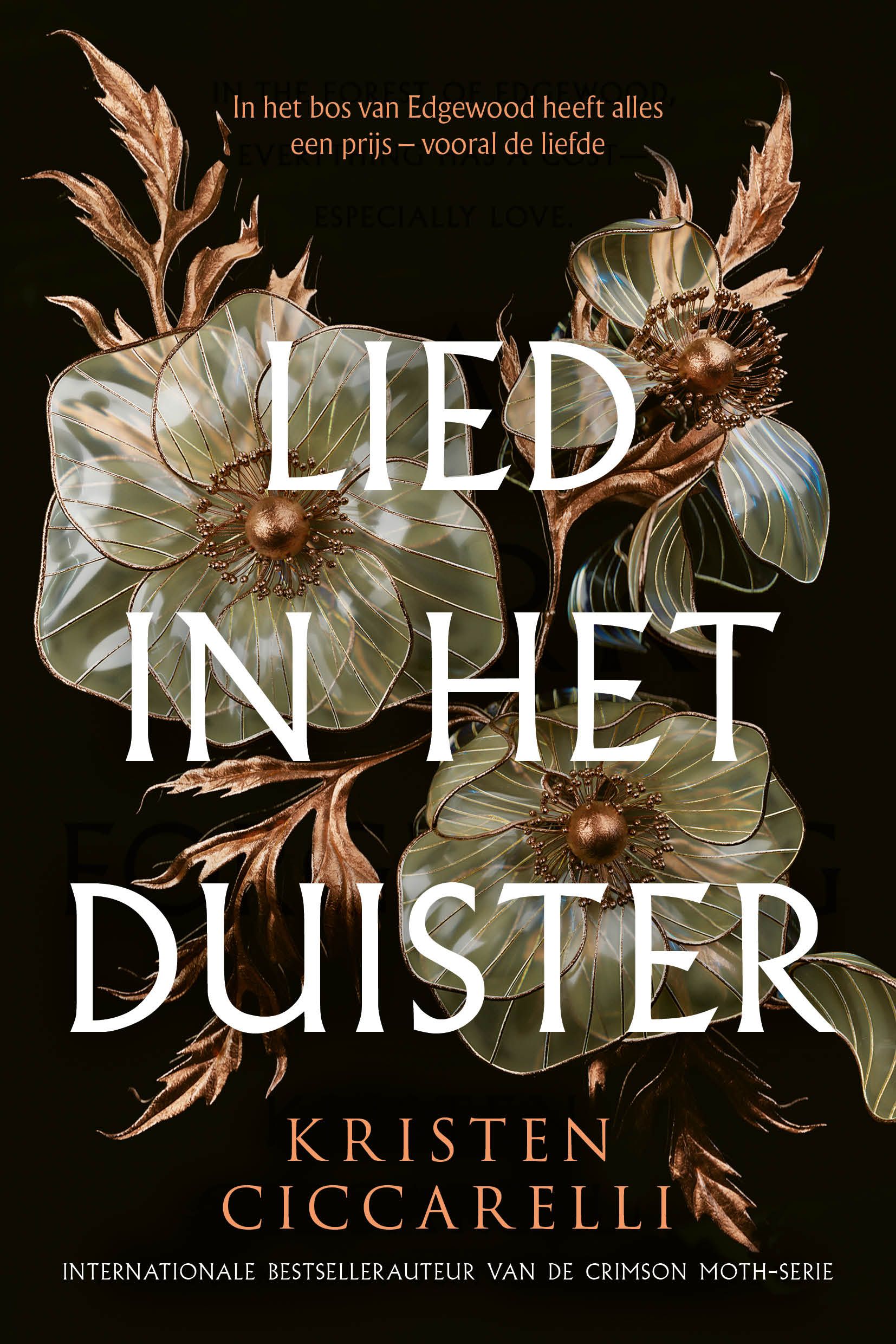 Lied in het duister