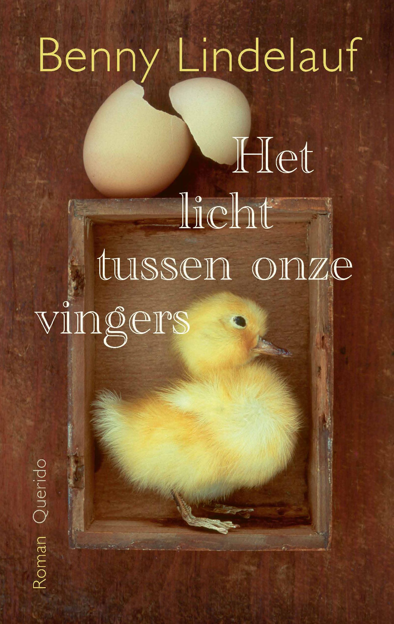 Het licht tussen onze vingers