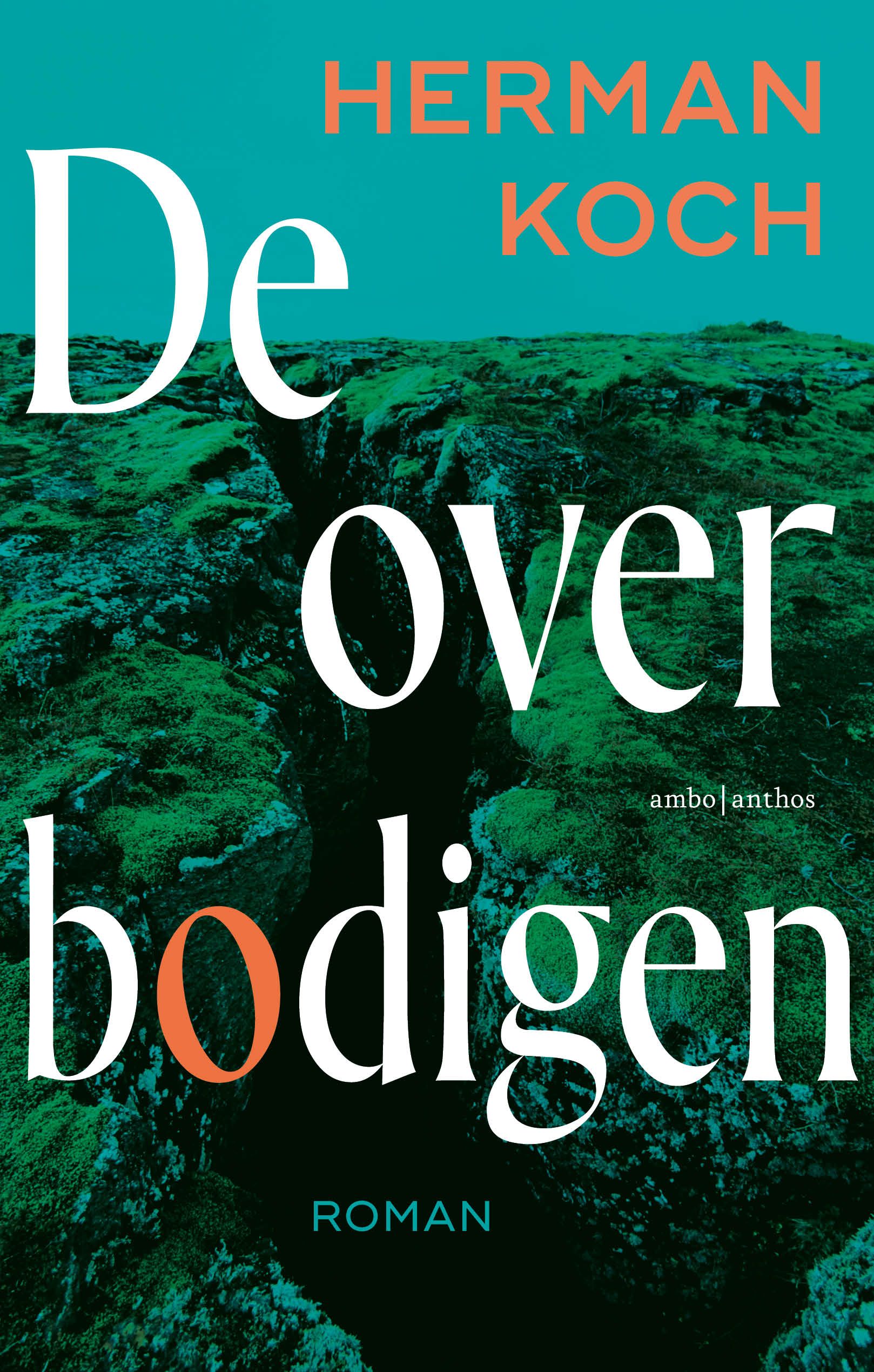 De overbodigen