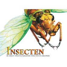 Insecten - Meest angstaanjagende