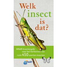 Welk insect is dat?