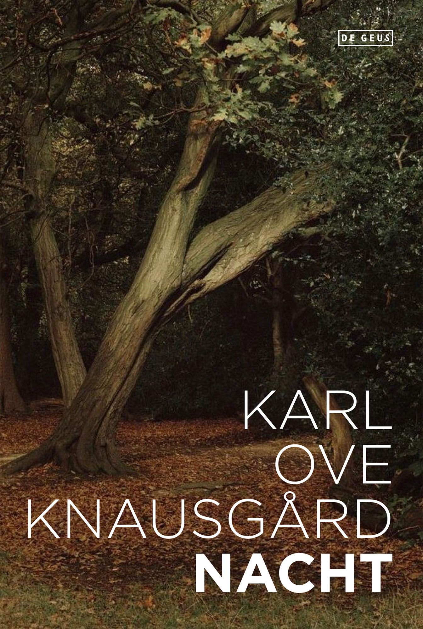 Nacht Karl Ove Knausgård