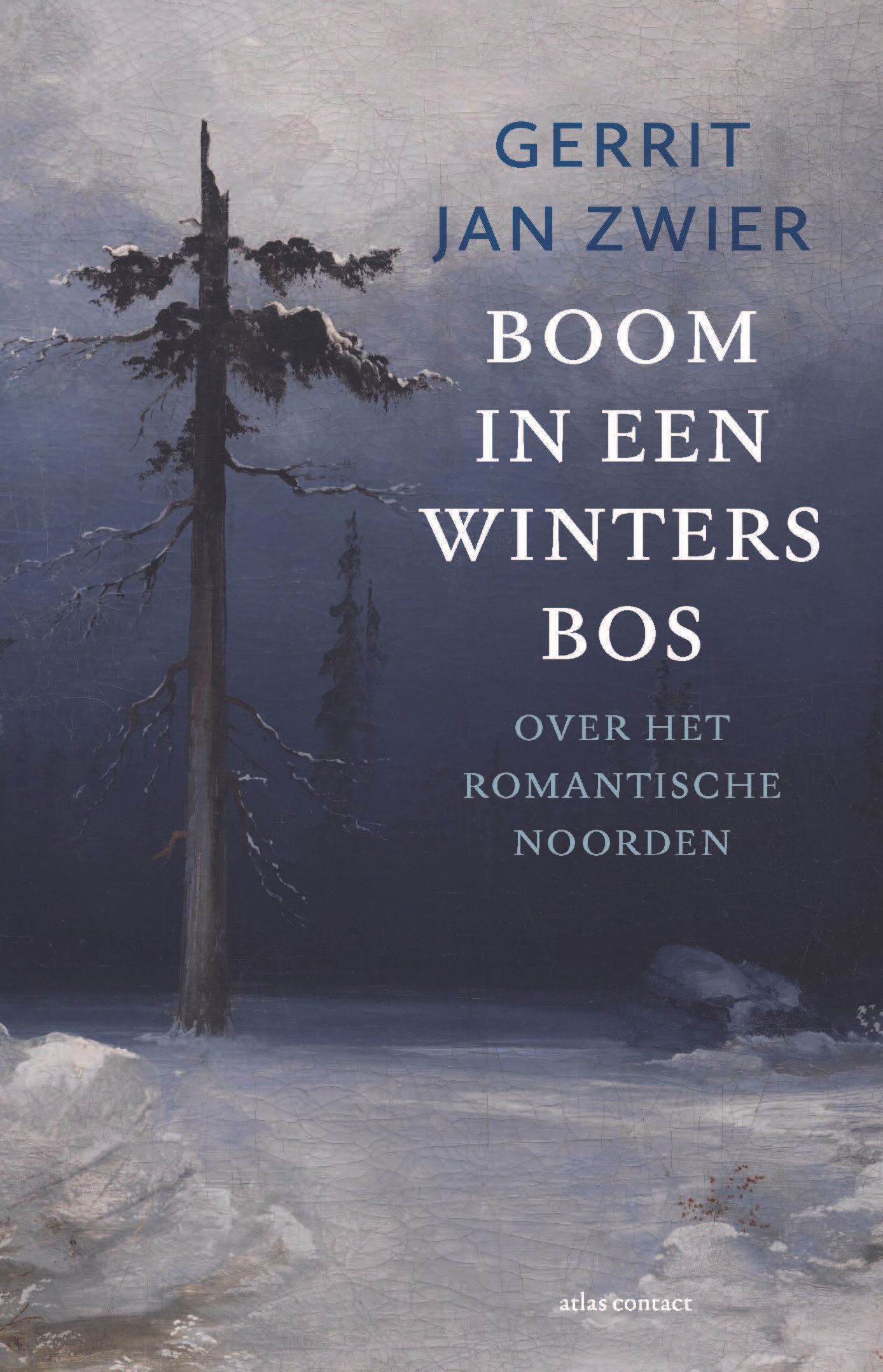 Boom in een winters bos