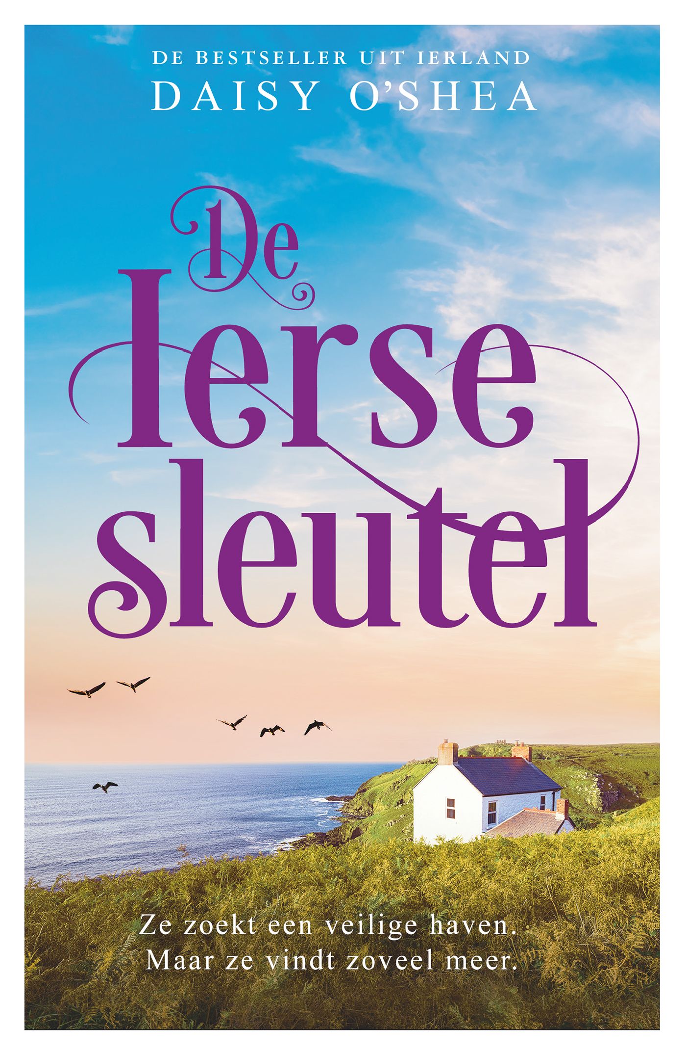 De Ierse sleutel