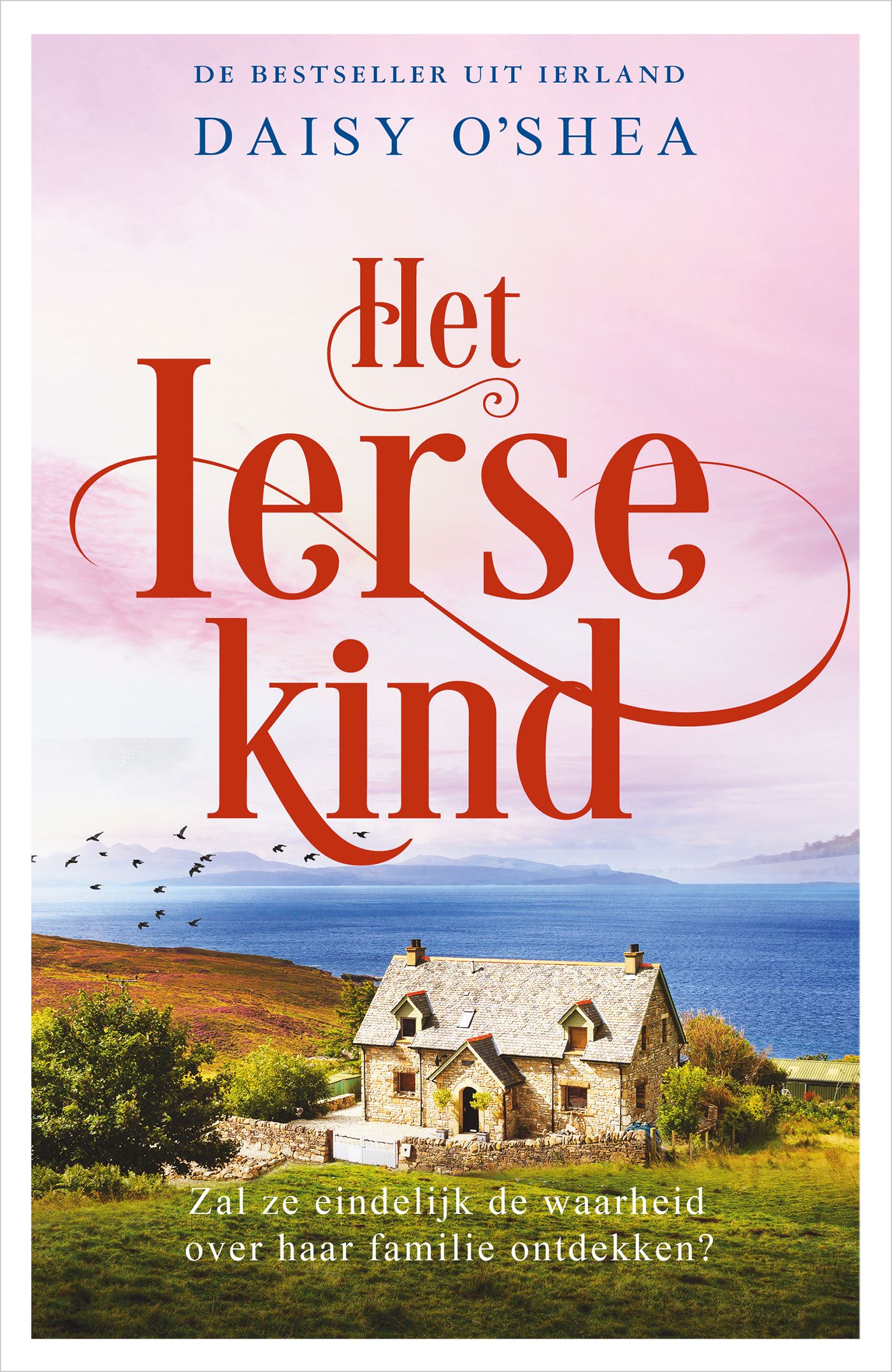 Het Ierse kind