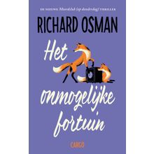 Het onmogelijke fortuin