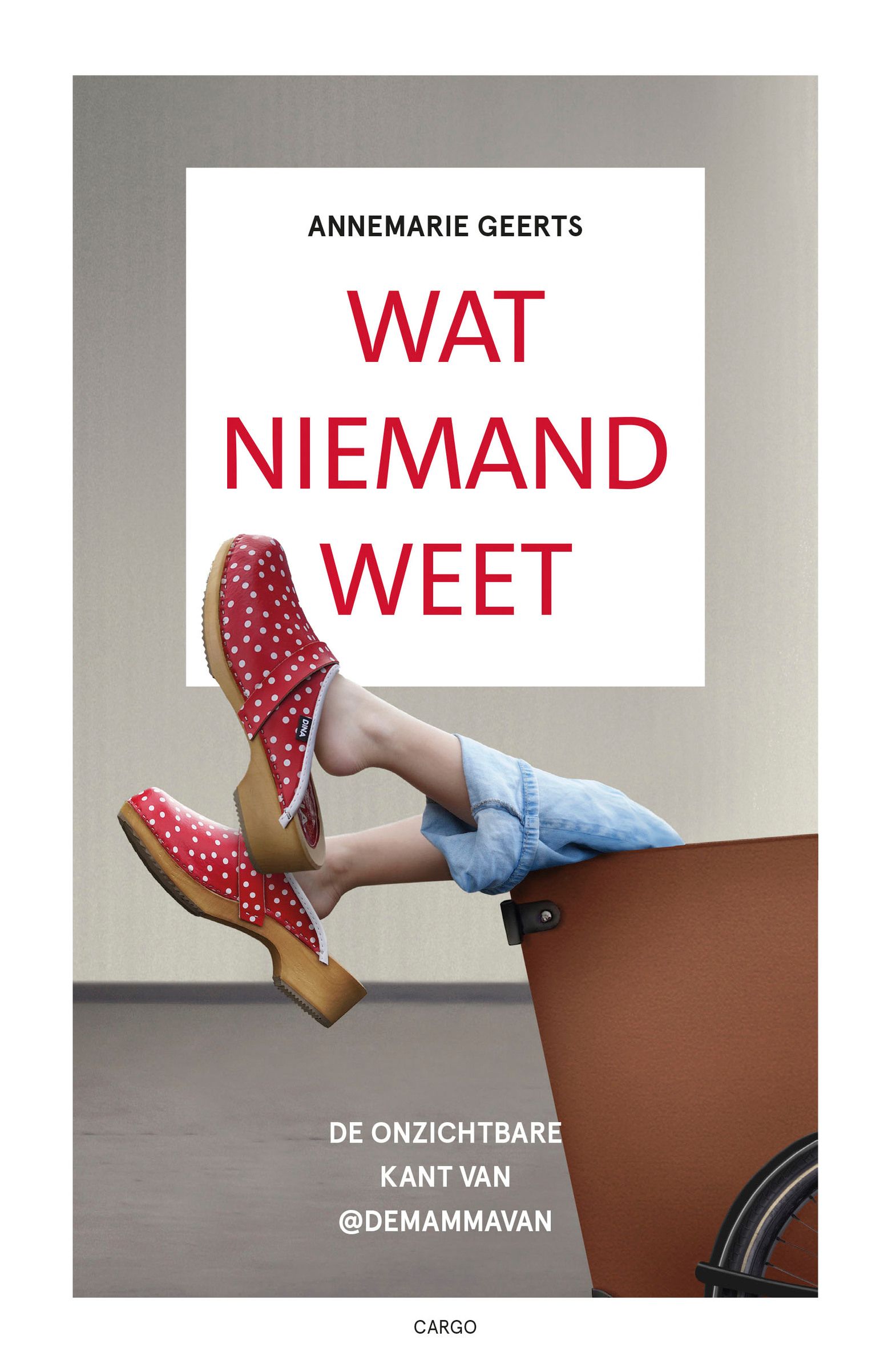 Wat niemand weet