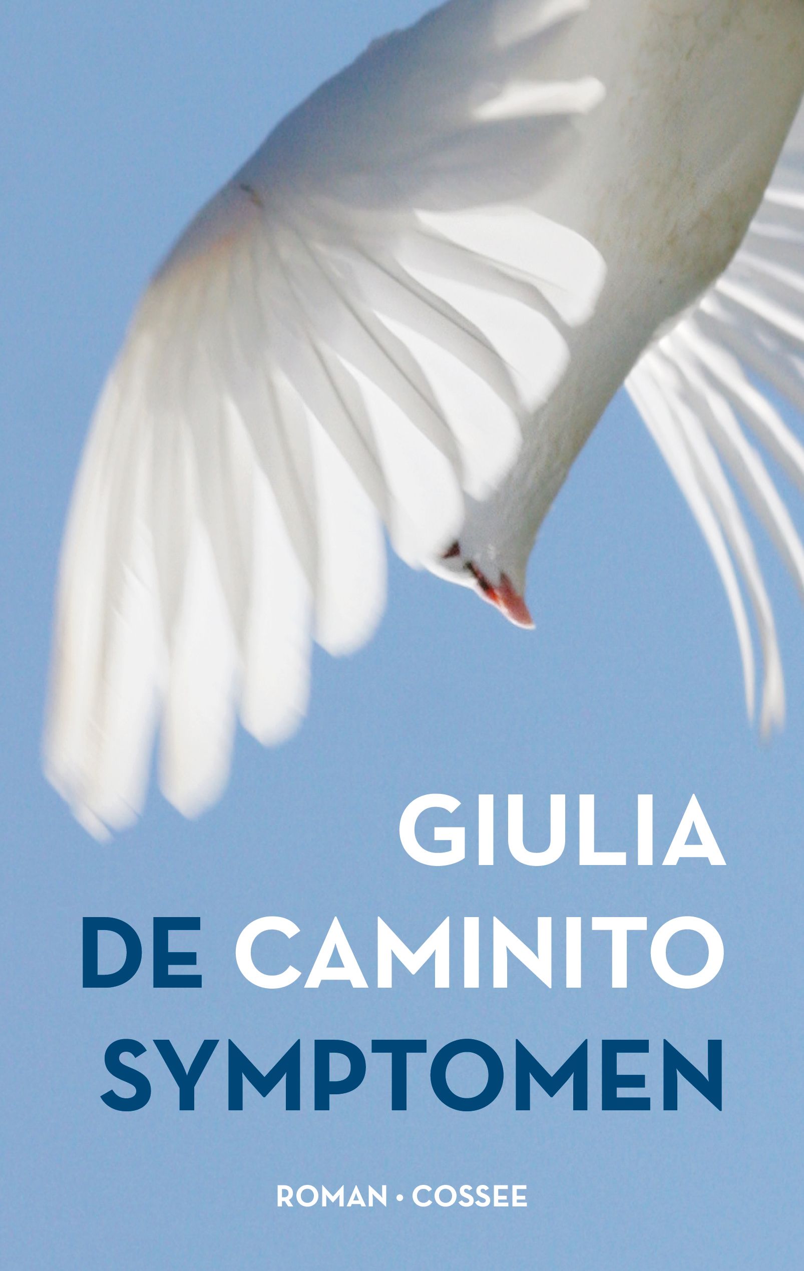 De symptomen